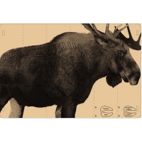 Мишень Лось