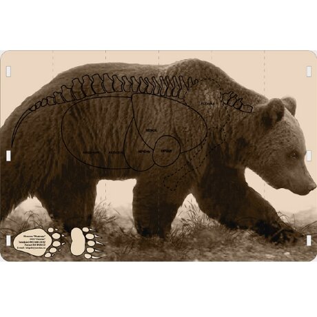 Мишень Медведь