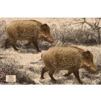 Мишень Сеголетки